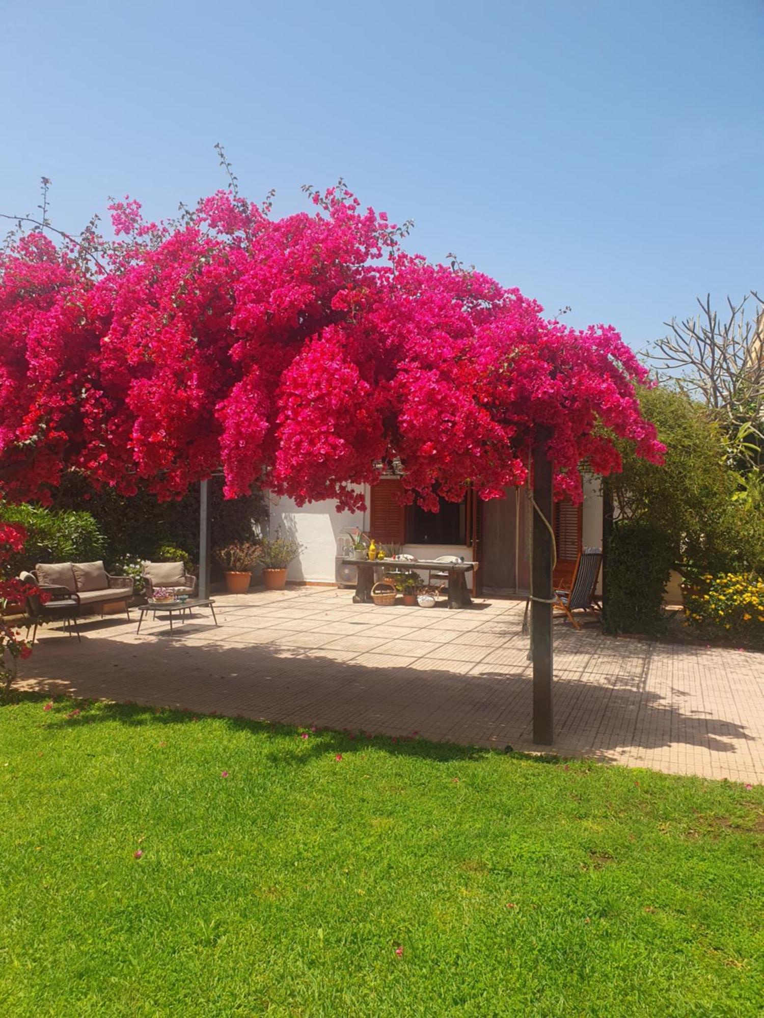 La Depandance Di Villa Rosa Locazioni Brevi Mondello Exterior foto